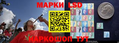МДПВ Гусев