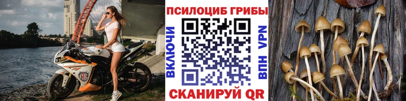 как найти закладки Северобайкальск Галлюциногенные грибы Cubensis