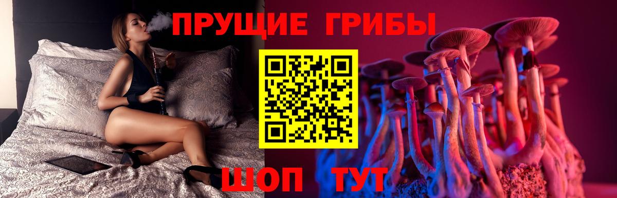Псилоцибиновые грибы мицелий  Псилоцибиновые грибы мухоморы  Северобайкальск  Вход с VPN 