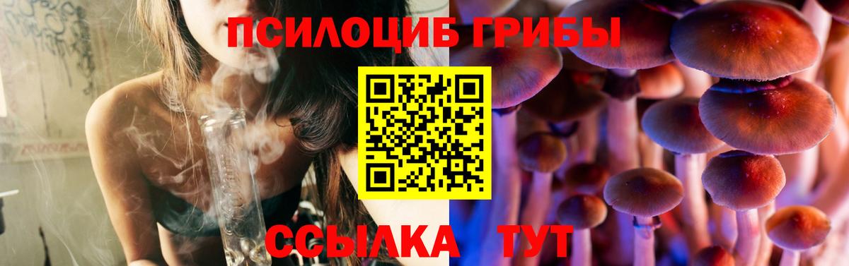 Галлюциногенные грибы Magic Shrooms Северобайкальск