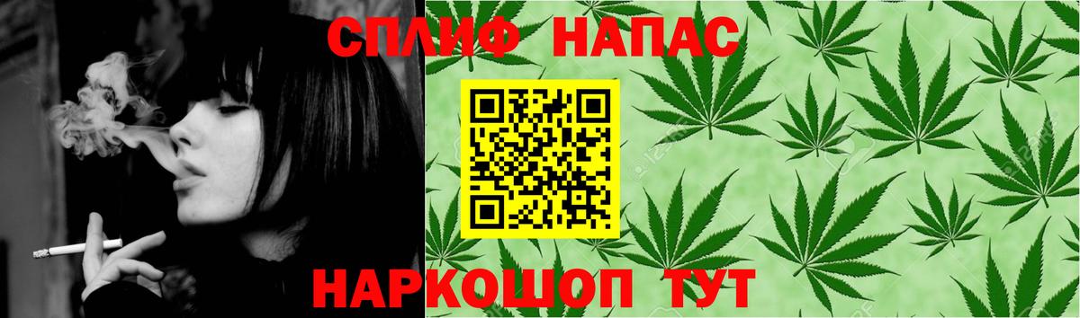 Канабис конопля  Бошки марихуана планчик  Северобайкальск  Марихуана сатива  Вход с VPN 